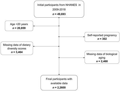 Dietary diversity contributes to delay biological aging